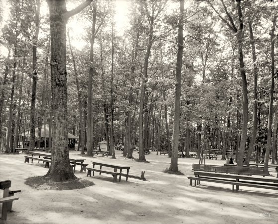 Photo showing: Picnic in the Park -- Picnic grounds, Long Branch Park, Syracuse, Onondaga County, New York, circa 1905.