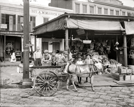 Photo showing: French Market Pony -- New Orleans circa 1910. A corner of the French Market.