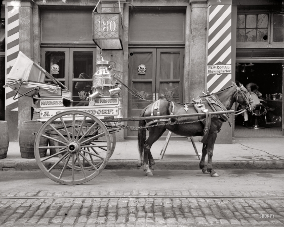 Photo showing: Milk Mare -- New Orleans circa 1910. A typical milk cart.