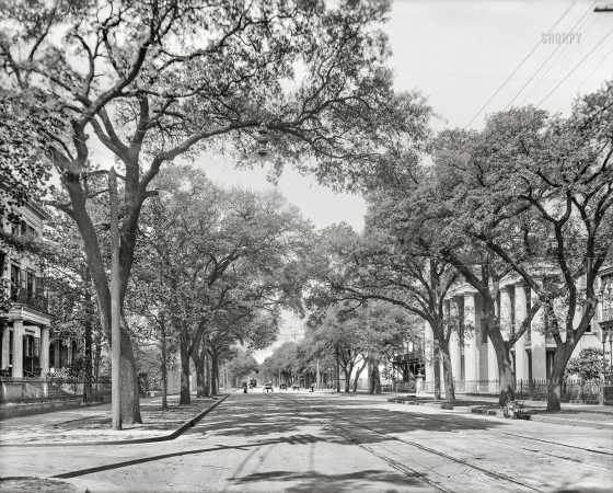 Photo showing: Government Street III -- Mobile, Alabama, circa 1906. Government Street, looking west.