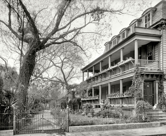 Photo showing: 35 Legare Street -- Charleston, South Carolina, circa 1910. Gallery and garden.