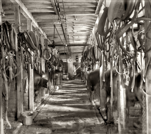 Photo showing: Bakery Stable -- April 27, 1914. Detroit, Michigan. Stables, Gordon & Pagel Co. bakery.