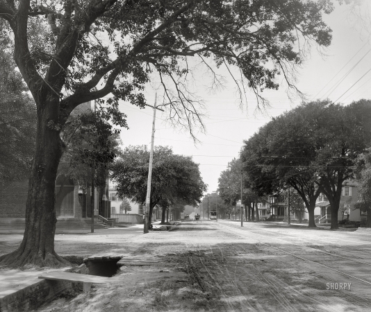 Photo showing: Government Street II -- Mobile, Alabama, circa 1900.