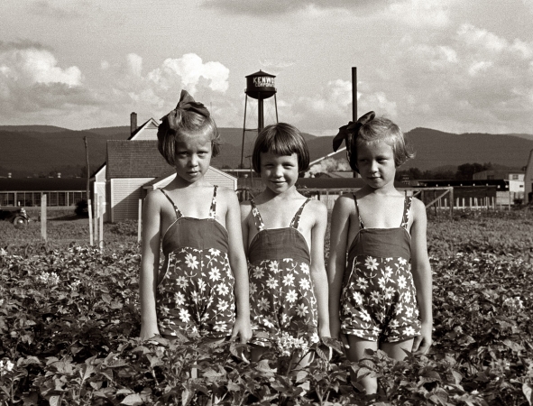 Photo showing: The Three Graces -- June 1939. Daughters of a Tygart Valley, West Virginia, homesteader.