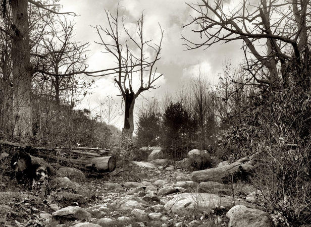 Photo showing: Rocky Road -- October 1935. Road to Nicholson Hollow. Shenandoah National Park, Virginia.