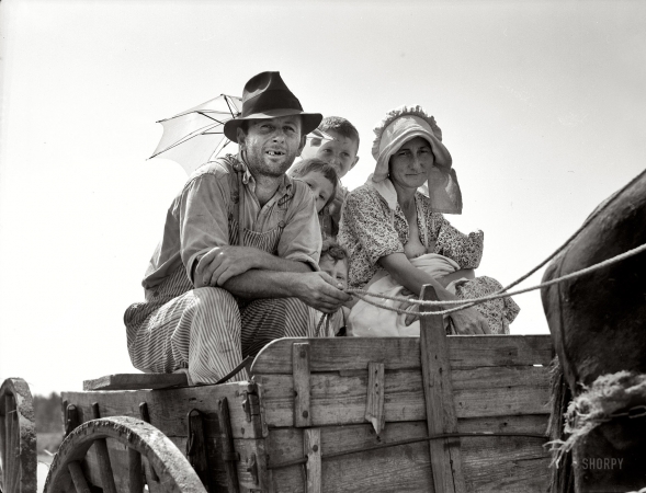 Photo showing: Family Wagon -- Sharecropper family near Hazlehurst, Georgia, July 1937.