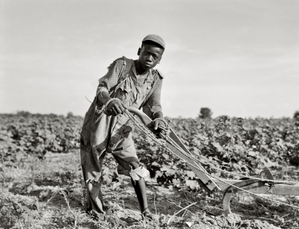 Photo showing: Young Sharecropper -- July 1937. Thirteen-year old sharecropper near Americus, Georgia. 
