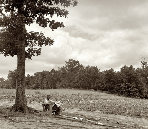 Photo showing: The Reading Tree: 1939 -- Tenant farmer reading paper on a hot Saturday afternoon. Chatham County, North Carolina.