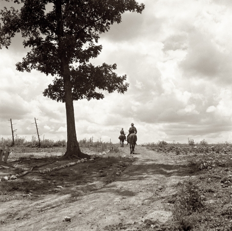 Photo showing: Gone Visiting -- Sons of tenant farmer go visiting on a Saturday afternoon, Granville County, North Carolina, July 1939.