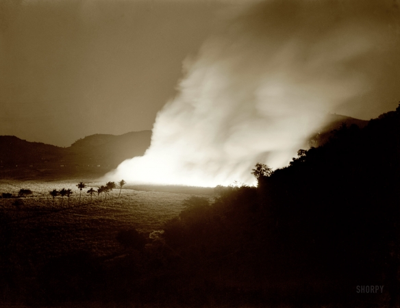 Photo showing: Hot Sugar -- January 1942. Guanica, Puerto Rico. Burning a sugar cane field for harvest.