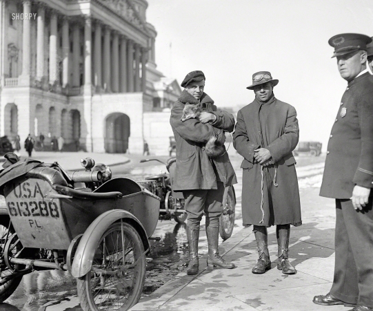 Photo showing: Fox News -- Dec. 22, 1919. Fox captured in the Capitol grounds by George M. Green.