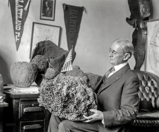 Photo showing: Patriotic Poriferan -- Feb. 25, 1920. Herbert J. Drane, Congressman from Florida, with some of his choice specimens.