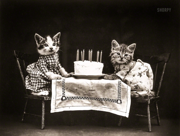 Photo showing: Cake for the Kittens -- Circa 1914. Cats in costume at birthday party with cake.