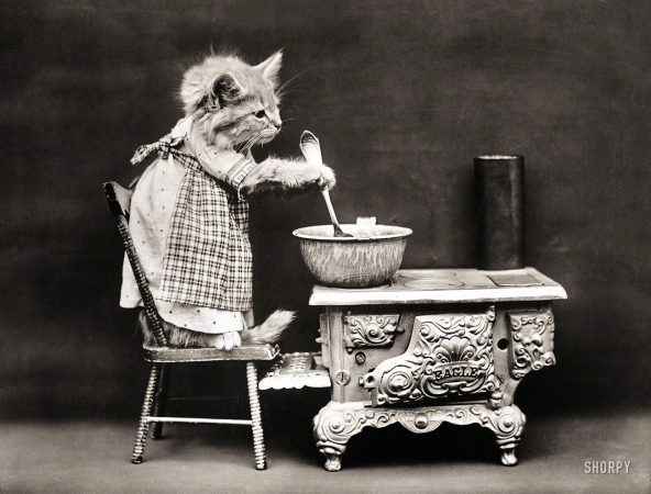 Photo showing: Canary Soup -- 1914. Cat wearing apron, stirring pot on miniature stove.