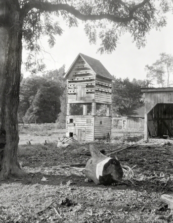 Photo showing: Coop de Ville -- 1935. Birdhouse at Hickory Hill, Ashland, Hanover County, Virginia.