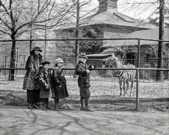 Photo showing: Predator. -- Washington, D.C., 1923. Mrs. Denby and kids at zoo with zebra.
