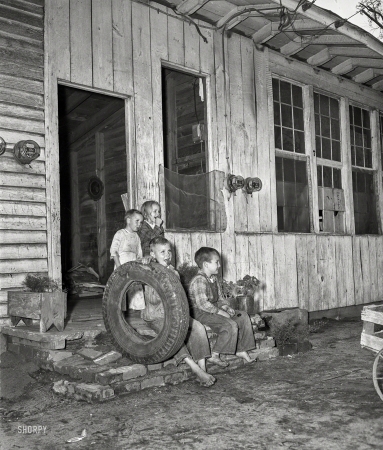 Photo showing: Fledglings. -- Columbus, Georgia, circa 1948. Chicken house dwelling.