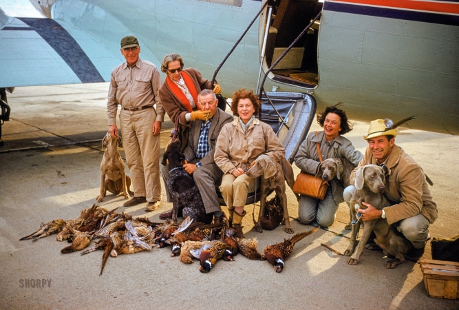 Photo showing: The Birds: 1958 -- November 1958. Mr. and Mrs. Stanford Murphy, Mr. and Mrs. Vic Bergeron, and retired Navy Captain
and Mrs. Clayton McCauley pose before DC-3 in San Francisco with field dogs and one-day bag of game birds.