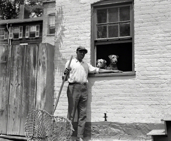 Photo showing: Safe at Home. -- Washington, D.C., 1924. Dog catcher.