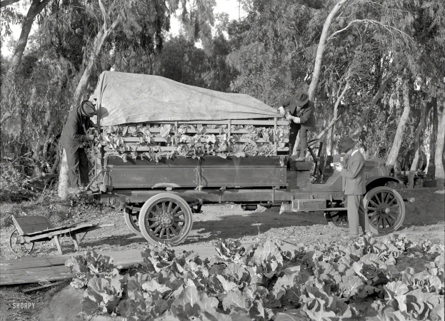 Photo showing: Locally Grown -- The Bay Area in 1918. Service truck and greens.