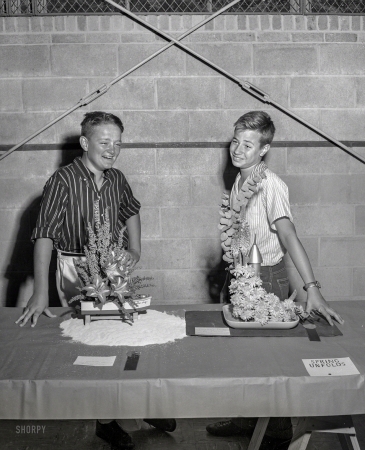 Photo showing: Spring Unfolds -- Columbus, Georgia, circa 1959. Flower show winners.