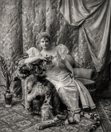 Photo showing: Wildcats -- Chicago, 1893. Actress Lillian Russell (1860-1922) seated on tiger skin. 