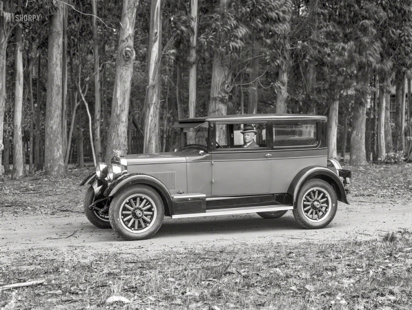 Photo showing: Among the Eucalypti -- San Francisco, 1926. Rickenbacker coupe.