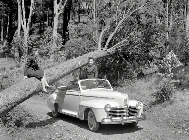 Photo showing: Red Riding Hood -- March 22, 1941 Pontiac in Mount Davidson Park, San Francisco.