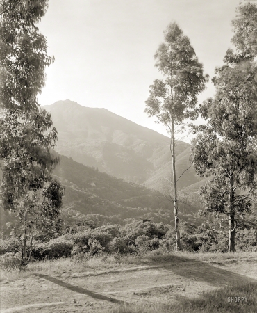 Photo showing: Mt. Tam -- Marin County, California, circa 1910. Scenic view of Mount Tamalpais.