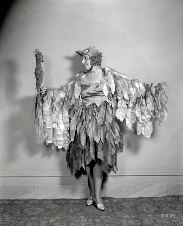 Photo showing: Two Birds -- Washington, D.C., circa 1920s. Gaynor, John F., Mrs.