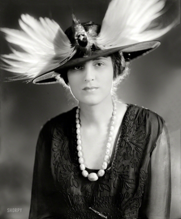 Photo showing: Angry Bird -- Washington, D.C., circa 1928. Shelley, James, Mrs.