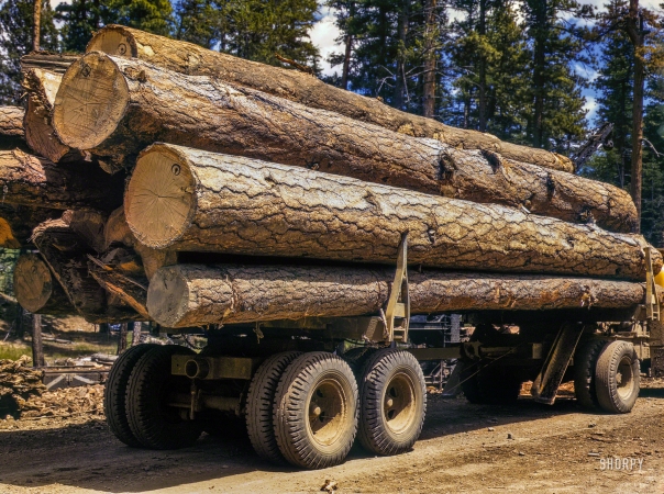 Photo showing: Hines Pines -- July 1942. Truckload of ponderosa pine, Edward Hines Lumber Co. operations in Malheur National Forest, Grant County, Oregon.