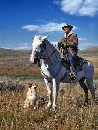 Photo showing: Montana Shepherd -- Gravelly Range, Madison County, Montana, 1942. Shepherd with his horse and dog.