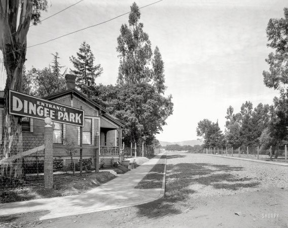 Photo showing: Dingee Park -- San Mateo County, California, circa 1909. Subdivision of Redwood City.