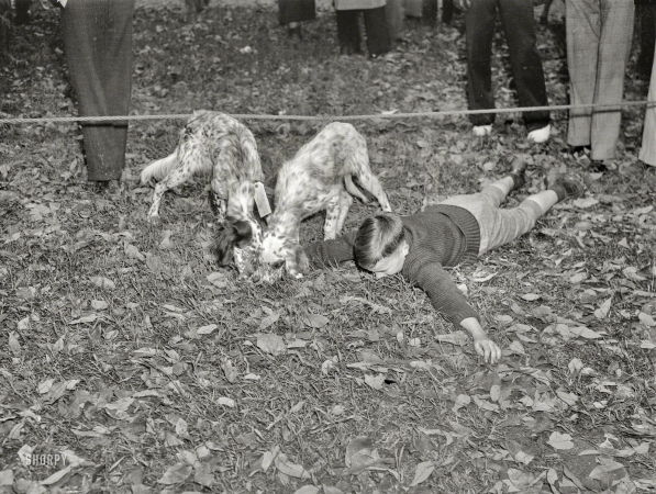 Photo showing: Dog Mart -- Washington, D.C., circa 1937.