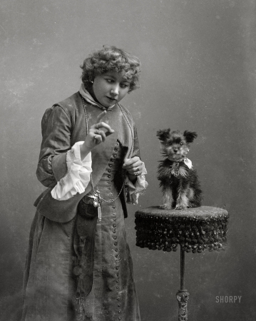 Photo showing: Known but to Dog -- Washington, D.C., circa 1873-1916. Unidentified woman with dog.