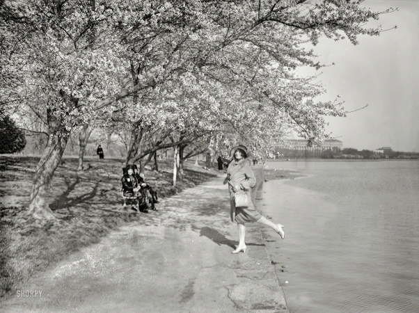Photo showing: Harbingers of Spring -- April 1926. Polly Freling at Tidal Basin.