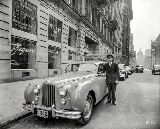 Photo showing: Park Avenue Cats -- New York, 1951. Hoffman Motors, Park Avenue. Driver standing next to Jaguar Mark VII saloon.