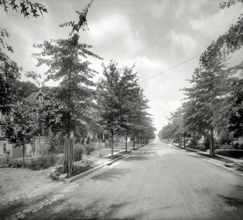 Photo showing: Cathedral Ave. -- Washington, D.C., circa 1925. Cathedral Avenue.