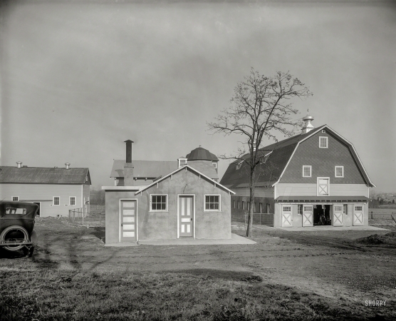 Photo showing: Chestnut Farms -- Circa 1925. Chestnut Farms Dairy near Philadelphia.