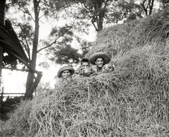 Photo showing: Pumpkin Patch Kids -- October 3, 1936. Ashton, Maryland. Climbing to the highest hay stack, these youngsters hope for an
advance glimpse of Halloween spooks and goblins. They are 'Sunny Jim,' Johnny Johns and Brooke Johns.