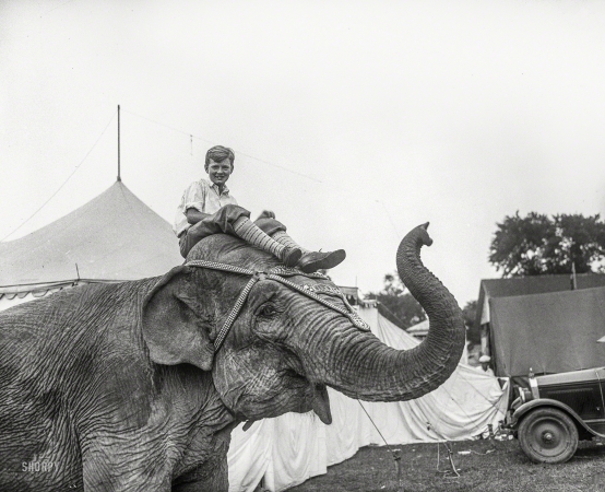 Photo showing: The Elephant Boy -- August 1927. Winchester, Virginia. Boy on elephant.