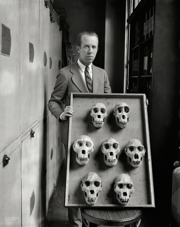 Photo showing: Seven Skulls -- Washington, D.C., circa 1927. Man with skull display.