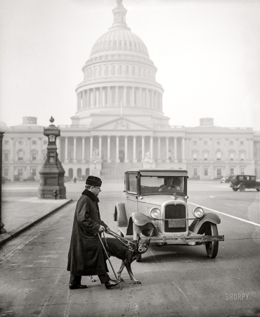 Photo showing: Capitol Crossing -- January 1928. Canine chaperone -- Senator Thomas D. Schall, blind solon from Minnesota ... 