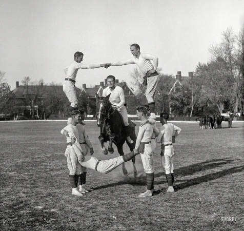 Photo showing: Whoas Before Bros -- Washington, D.C., 1930. Horse jumping through group of men.