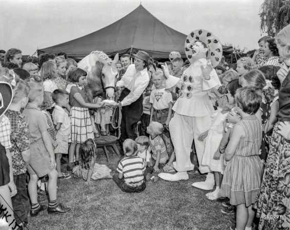 Photo showing: Party Animal -- Elgin, Illinois, circa 1956. Pony eating cake at birthday party.