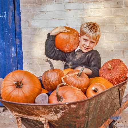 Photo showing: Pumpkin Patch Kid -- Fort Washington, Pennsylvania, 1963. Shooting fashions and autumn scenes at Pheasant Run Farm, home of Mrs. Robert McLean.