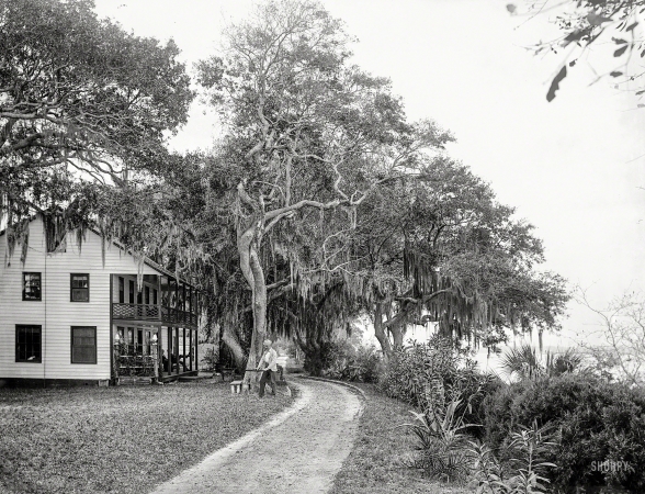 Photo showing: Bostroms -- Volusia County, Florida, circa 1890. Bostrom's on the Halifax near Ormond.
