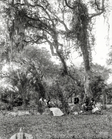 Photo showing: Our Eden -- Volusia County, Florida, circa 1897. A garden near Daytona.