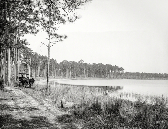 Photo showing: Lake Louise -- Volusia County, Florida, circa 1897. Lake Louise, near Seville.
